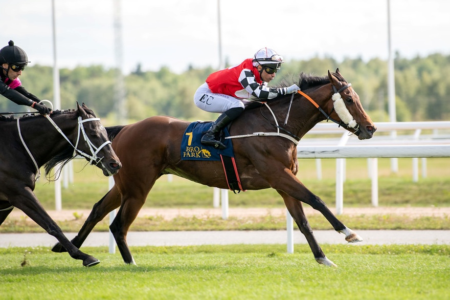 Ännu en seger till Secret Royal!